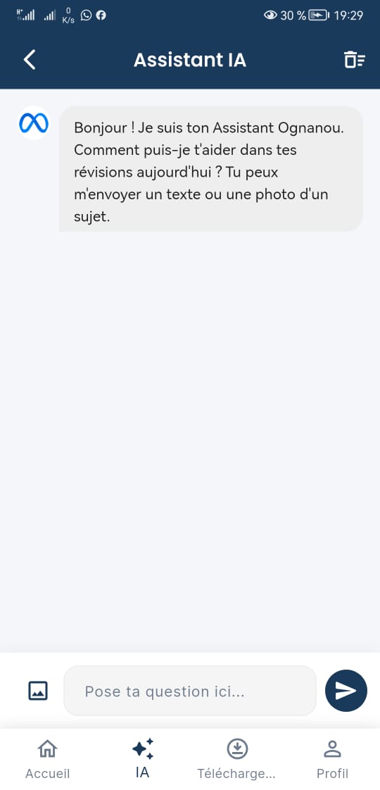 Ognanou Assistant IA